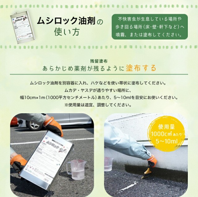 時間指定不可 カメムシ退治 ムカデ 駆除 業務用ムシロック油剤 4l ヤスデ退治 低臭性 タカラダニ 待ち伏せ効果屋外用 プロ用殺虫剤 上質風合い Www Gestaoderiscopatrimonial Com Br