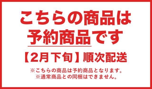 2月下旬予約