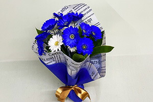 ガーベラ 青 ブルー 白 ホワイト ホワイトデー　開店開業 アレンジメント　送料無料