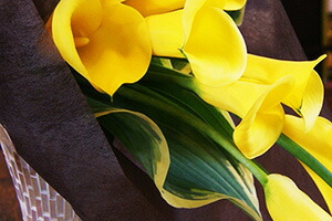 送料無料 黄色 カラー 花　花束