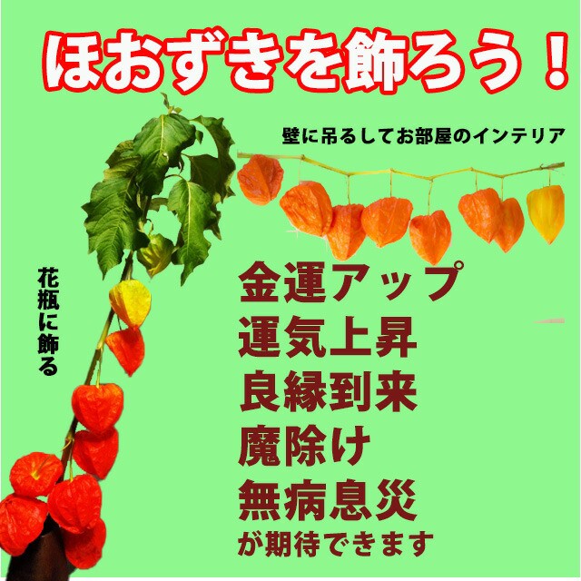 ぽっきりsale対象 ほおずき 盆 お盆 4本 花束 ほうずき 切り花 お供え 花 鬼灯 お盆用品 生花 お盆飾り セット ミニ 花屋 造花 スノーピーク インカ メーカー包装済 Arnabmobility Com