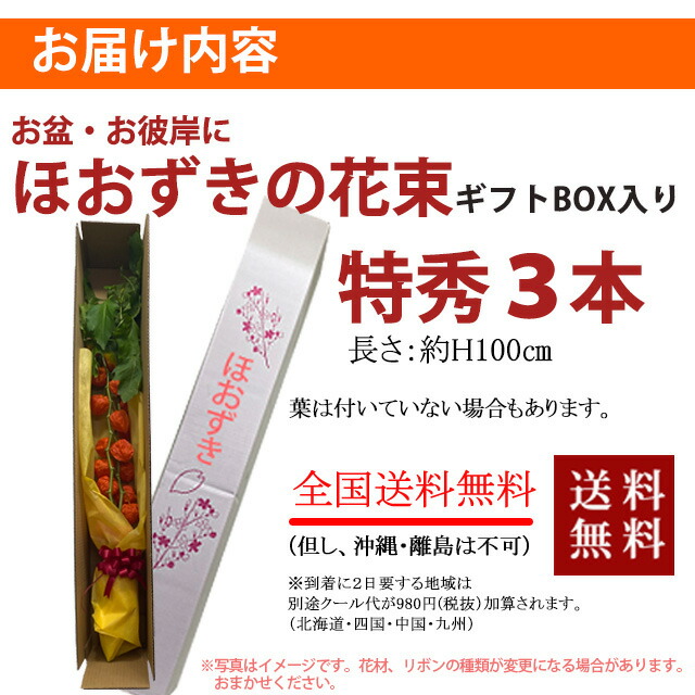 ほおずき ほうずき 盆 お盆 切り花 お供え 生花 お盆飾り 花 花樹有
