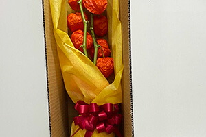 ほおずき ほうずき 盆 お盆 切り花 お供え 生花 お盆飾り 花 花樹有