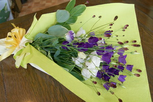 今月のお花　誕生花を贈ろう　送料無料　ネット通販花屋花樹有（かじゅある )