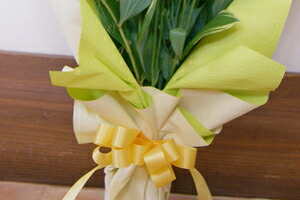 今月のお花　誕生花を贈ろう　送料無料　ネット通販花屋花樹有（かじゅある )