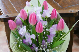 チューリップ 春 歓送迎会 卒業式 入学式 旬 送料無料