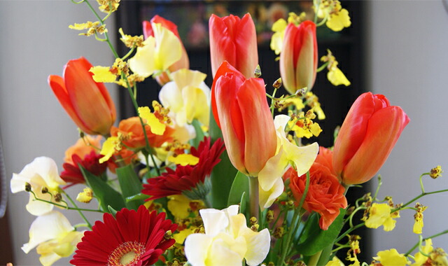 チューリップ 春 歓送迎会 卒業式 入学式 旬 送料無料