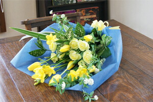 チューリップ　春　歓送迎会　卒業式　入学式　旬　送料無料