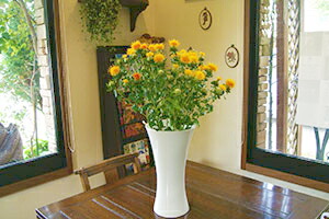 紅花を花瓶に飾る