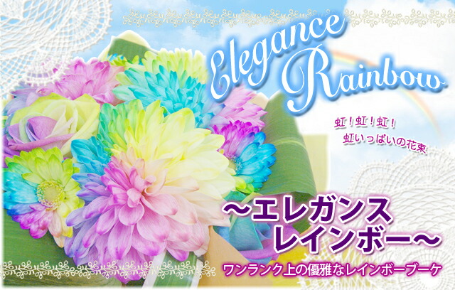 人気トレンド ダリア レインボー ガーベラ 花ギフト レインボーダリア ガーベラ 花束 ダリア レインボー 虹色 花束 誕生日 結婚記念日 エレガ 爆安プライス Arnabmobility Com