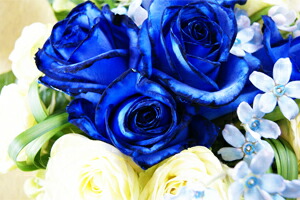 花瓶のいらない花束　フラワーギフト　送料無料　ネット通販花屋花樹有（かじゅある )