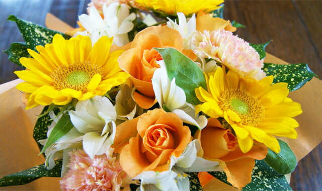 誕生花　７月　ヒマワリ　送料無料