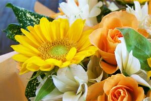 誕生花　７月　ヒマワリ　送料無料