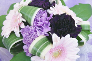 カーネーションムーンダスト