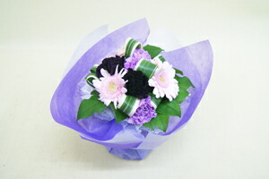 カーネーションムーンダスト