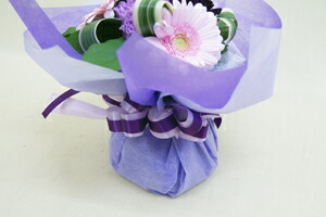 カーネーションムーンダスト