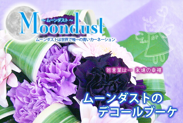 カーネーションムーンダスト