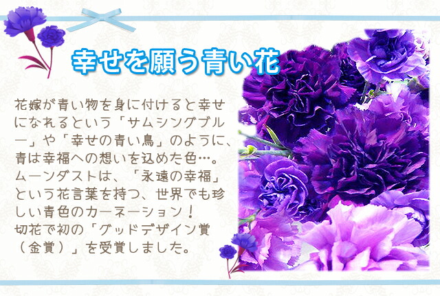 カーネーションムーンダスト