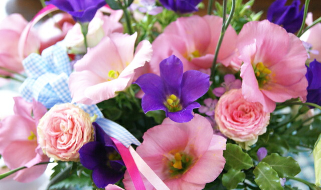 今月の旬のお花 誕生花を贈ろう 送料無料 ネット通販花屋花樹有(かじゅある )