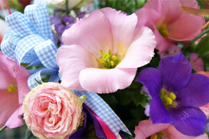 今月のお花　誕生花を贈ろう　送料無料　ネット通販花屋花樹有（かじゅある )