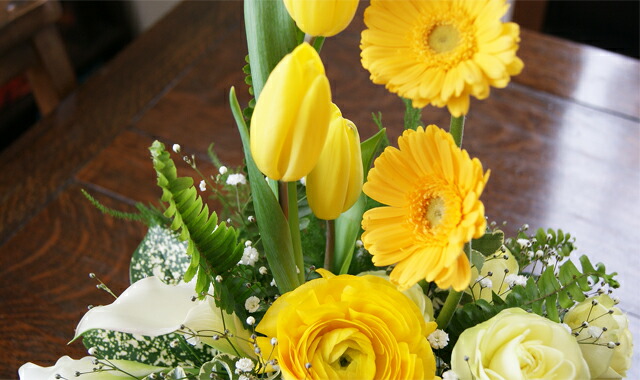 チューリップ 春 歓送迎会 卒業式 入学式 旬 送料無料