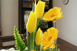 チューリップ 春 歓送迎会 卒業式 入学式 旬 送料無料