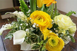 チューリップ 春 歓送迎会 卒業式 入学式 旬 送料無料