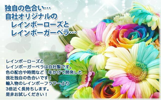 “レインボーローズ　レインボーガーベラ"