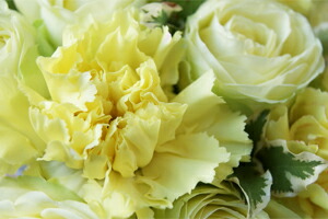 フラワーケーキ　フラワーギフト　送料無料　ネット通販花屋花樹有（かじゅある )