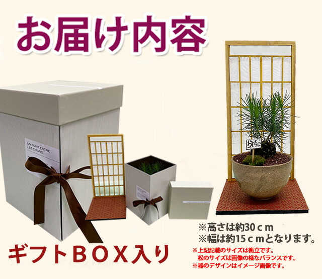 フラワーギフト 送料無料 ネット通販花屋花樹有(かじゅある)