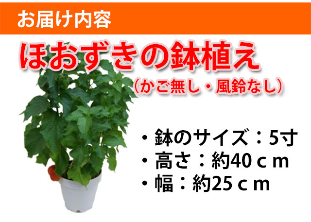 ほおずきのお届け内容