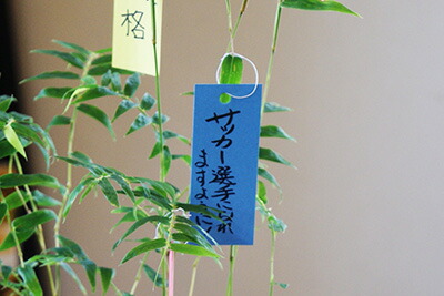 七夕　竹　短冊