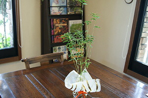 七夕　竹　雰囲気