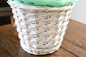 葡萄ブドウ鉢植え