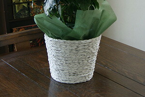 チューリップ　花束　ホワイトデー　送料無料