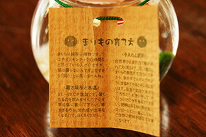 マリモ　説明書