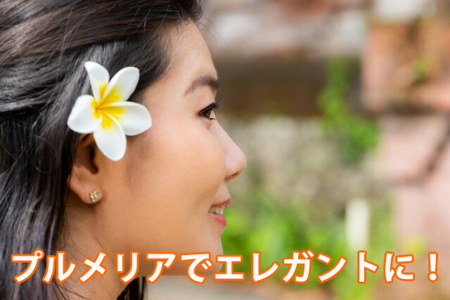 プルメリア 鉢植え ギフト 誕生日 結婚記念日 花樹有 山形の花屋 ネット通販 山形 花屋 花樹有( かじゅある )