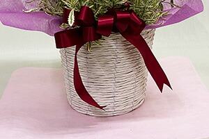 ラベンダー イングリッシュ 母の日 父の日 誕生日 結婚記念日