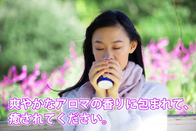 ラベンダー イングリッシュ 母の日 父の日 誕生日 結婚記念日