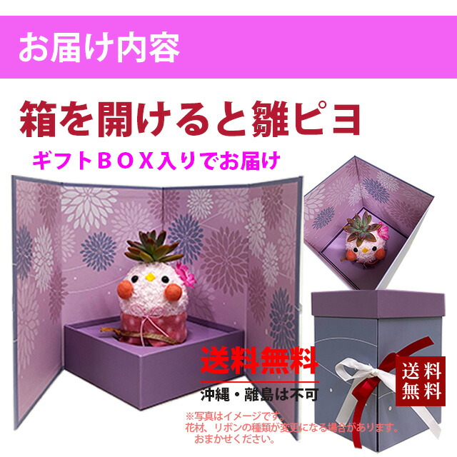 ひな祭り 多肉植物 お雛様 ギフト 贈り物 花 花樹有