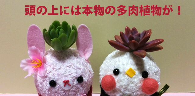 ひな祭り 多肉植物 お雛様 ギフト 贈り物 花 花樹有
