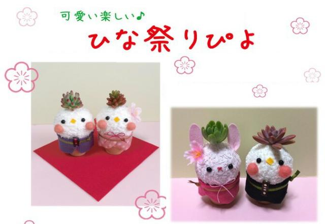 ひな祭り 多肉植物 お雛様 ギフト 贈り物 花 花樹有 誕生日 結婚記念日 ギフト 贈り物 花 花樹有