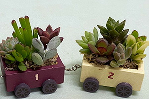 多肉植物 多肉 観葉植物 ギフト 鉢 誕生日 結婚記念日 お中元 花樹有 かじゅる 山形の花屋