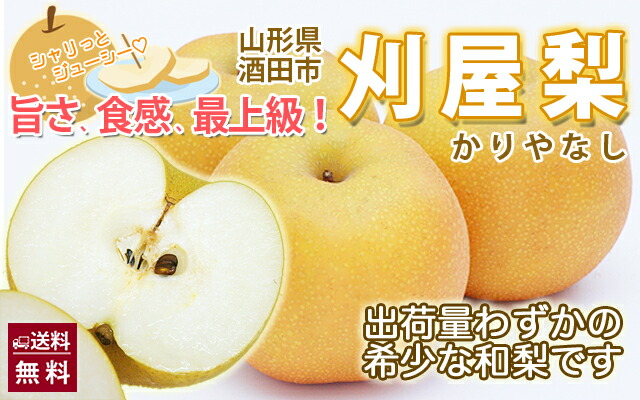 山形県酒田産 刈屋梨 幸水 豊水 南水