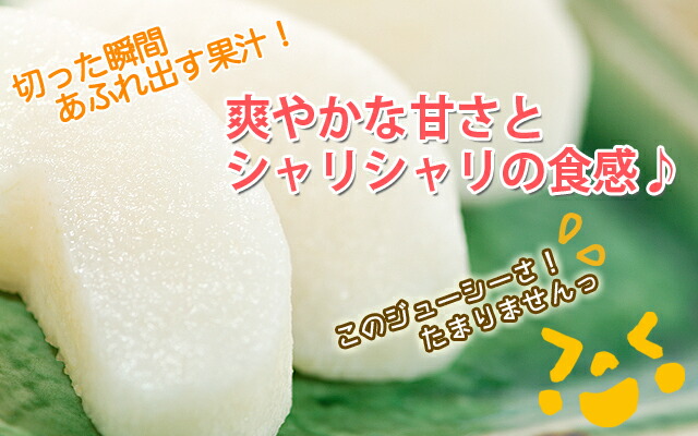 山形県酒田産 刈屋梨 幸水 豊水 南水