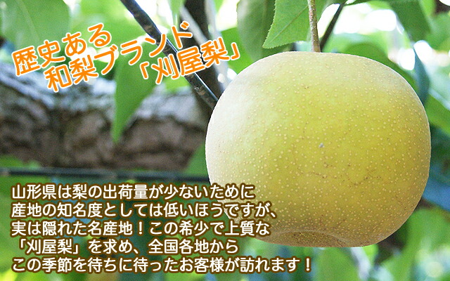 山形県酒田産 刈屋梨 幸水 豊水 南水