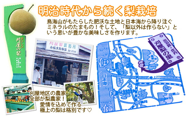 山形県酒田産 刈屋梨 幸水 豊水 南水