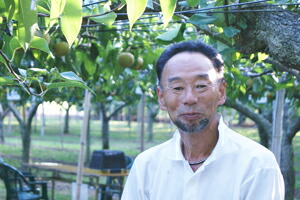 山形県酒田産 刈屋梨 幸水 豊水 南水