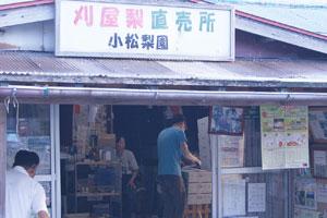 山形県酒田産 刈屋梨 幸水 豊水 南水width=