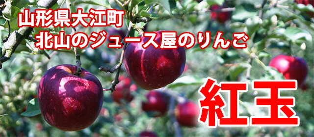 りんご　紅玉（こうぎょく）
